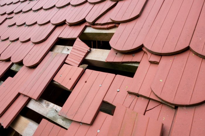 Réparez votre toit si besoin