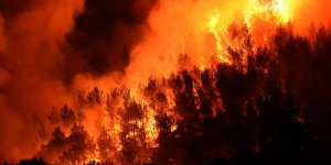 6 gestes pour prévenir les feux de forêt et s’en protéger