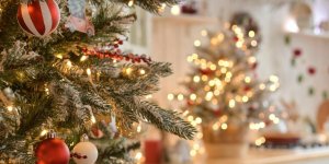 Le lutin farceur de Noël : explications de cette nouvelle tendance à Noël