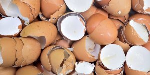 5 manières d'utiliser ses coquilles d'œuf